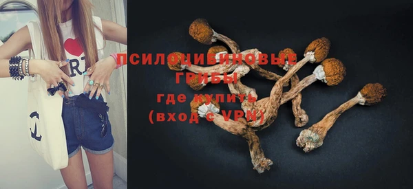 амф Абинск