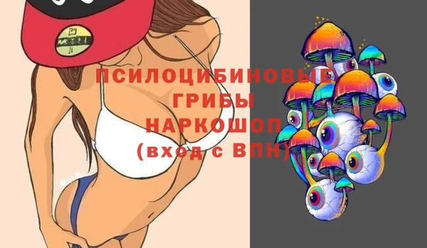 амф Абинск